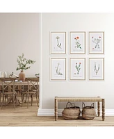 15.75"W x 0.75"D x 21.5"H Flower Studies In Shades Of Blush Framed Wall Art Set of 6