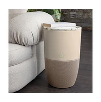 Bloom Air Purifier