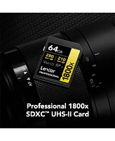 Panasonic Lumix G9II Mirrorless Camera with Lumix G Leica Dg Vario-Elmarit 12-60mm f/2.8-4 Asph Lens, Bundle with 64GB Memory Card, Battery, Charger B
