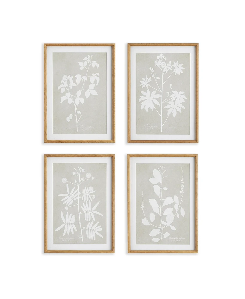 Foliage Study, Set Of 4