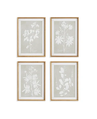 Foliage Study, Set Of 4