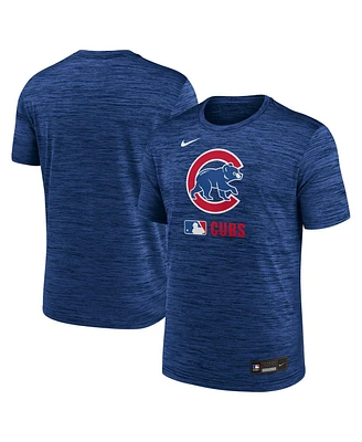 Nike Men's Royal Chicago Cubs Authentic Collection Velocity Performance Practice T-Shirt