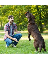 Pilot & Scout Chew N Play Treat Dispensing Dog Toy, Interactive and Durable Puzzle Feeder for Pets