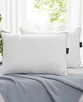 Nautica Comfort Support Pillow 2-Pack, Standard/Queen