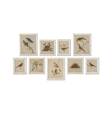 Framed Aviary Bird & Nest Habitat Prints, Set Of 9