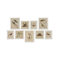 Framed Aviary Bird & Nest Habitat Prints, Set Of 9