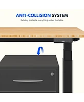 Flexispot E7-commercial W Electric Adjustable Standing Desk, Bamboo Top