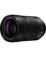 Panasonic Lumix S 70-300mm f/4.5-5.6 for L Mount