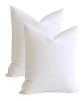 Square Pillow Insert