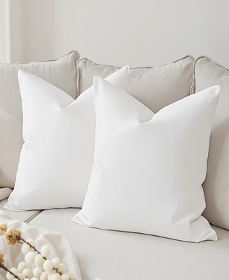 Square Pillow Insert