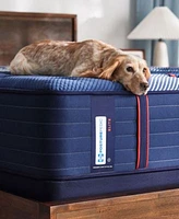 Sealy Posturepedic Elite Albany Ii 14 Firm Tight Top Mattress Collection