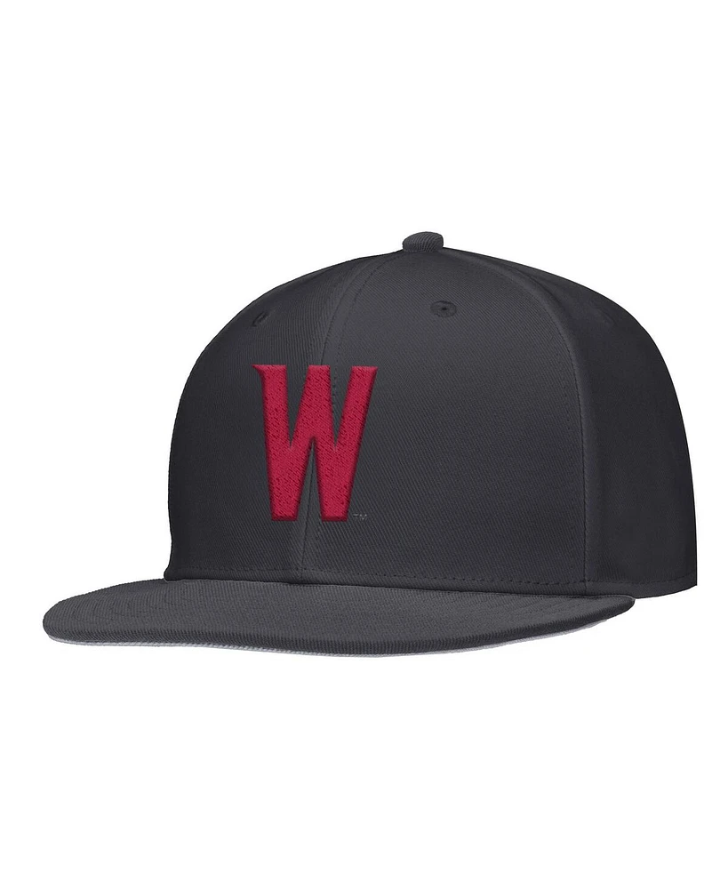 Nike Men's Anthracite Washington State Cougars On-Field Baseball Performance Fitted Hat