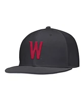 Nike Men's Anthracite Washington State Cougars On-Field Baseball Performance Fitted Hat