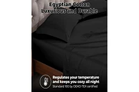 Superior Egyptian Cotton 300 Thread Count Solid Bed Sheet Set