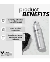 Kenra Professional Volume Dry Shampoo, 5oz
