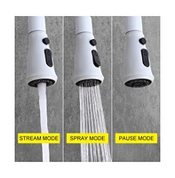 Kitchen Faucet with Pull Out Spraye