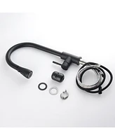 Kitchen Faucet with Pull Out Spraye