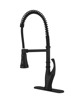 Single Handle Pull-Down Sprayer 3 Spray High Arc Pull Down Sprayer Kitchen Faucet