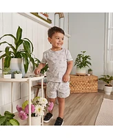 Gerber Toddler Boys 2-Piece T-Shirt and Shorts Set, Heather Skateboard