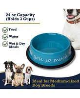I Love You So Much Modern Dog Feeder with Stainless Steel Bowls – Blue/24oz