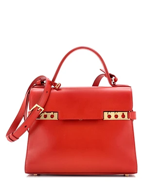 Pre-Owned Delvaux Mm Tempete Top Handle Bag Leather