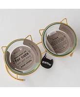 Elevated Glass Cat Bowl Stand Set
