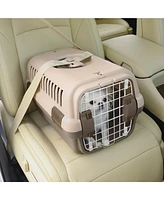 Pet Travel Carrier