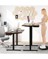 Height Adjustable Electric Standing Desk with Usb Charging Port