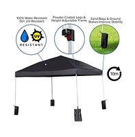 Ukko 10'X10' Weather Resistant, Uv Coated Pop Up Canopy Tent With Sandbags And Wheeled Case