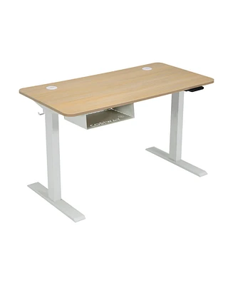 48 Inches Electric Standing Adjustable Desk with Control Panel and Usb Port