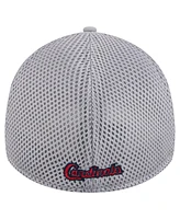 New Era Men's Gray St. Louis Cardinals Linear 39Thirty Flex-Fit Hat
