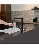Single Handle Standard Kitchen Faucet in Matte Black