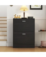 The black 2-door wooden shoe cabinet and fashionable shutter door design, sturdy and durable, efficient and stored, and enhance the aesthetics of the