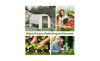 Walk-In Greenhouse for Gardening – Large Outdoor Plant Growing Space