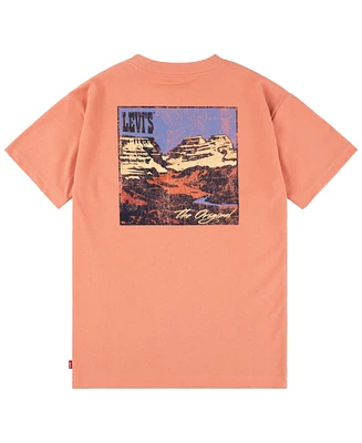 Levi's Big Boys Canyon Landscape T-Shirt