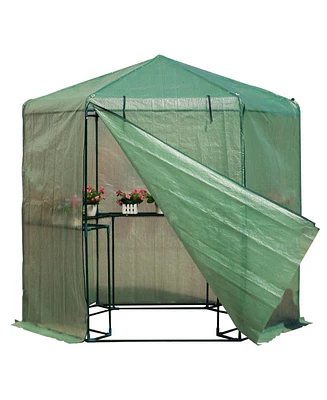 Outdoor Hexagon Greenhouse 6.5 x 7 Ft with Steel Frame Pe Cover and Shelves