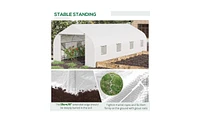 Spacious Greenhouse for Ideal Plant Growth and Year-Round Gardening
