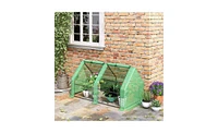 Walk-In Greenhouse for Gardening – Spacious Outdoor Plant Growing Shelter