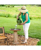 Toulon Outdoor Ceramic Bird Bath - 24.5" H - Uv- and Frost-Resistant - Glazed Bowl - Brown Lava Finish