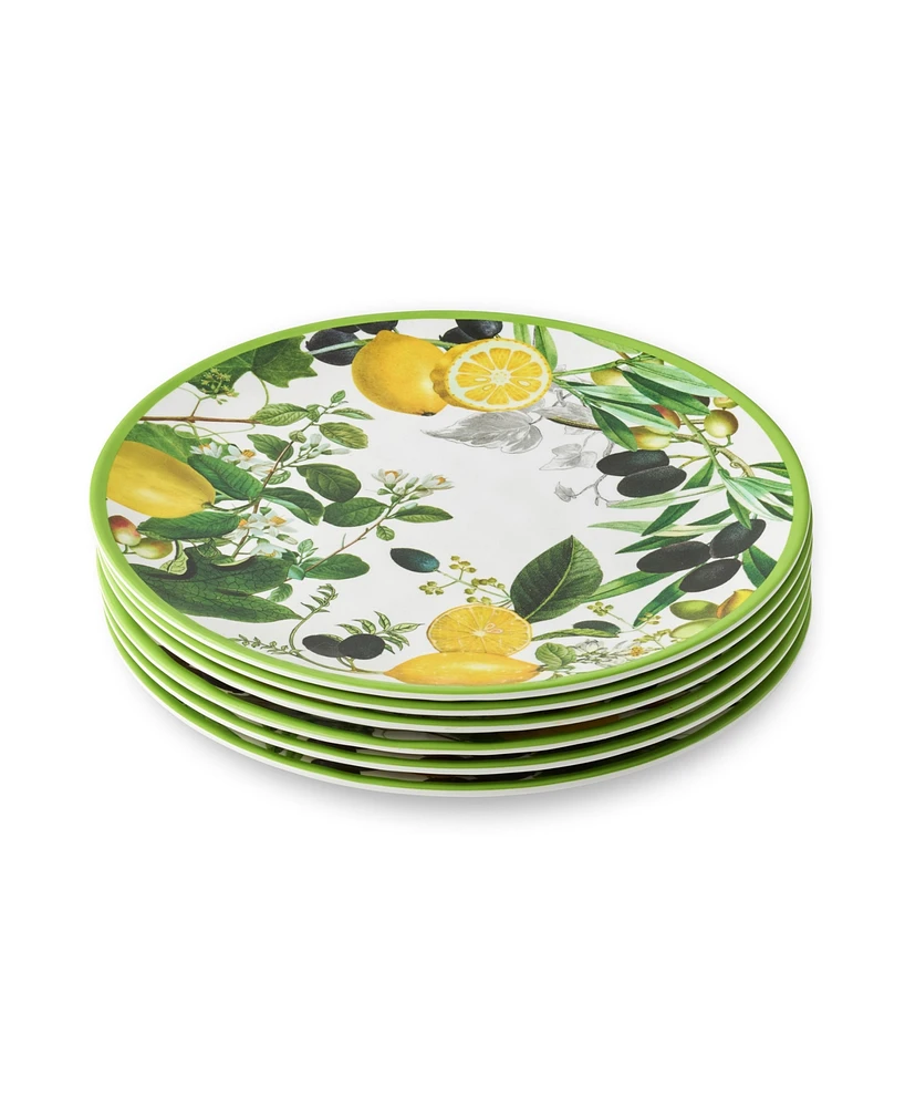 Certified International Limone Melamine 6-Pc. Dinner Plates, Service For 6
