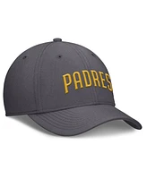 Nike Men's Gray San Diego Padres Swoosh Performance Flex Hat