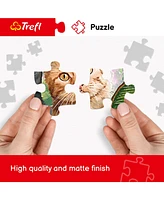 Trefl Red 1000 Piece Puzzle - Physical map of the world / Meridian