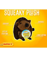 Ruffin' It Plush Dog Toy - Hedgehog