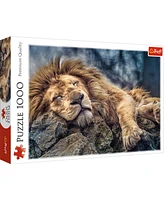 Trefl Red 1000 Piece Puzzle - Sleeping lion