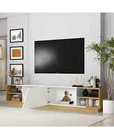 2-door Tv stand, white wood entertainment center, art design media console