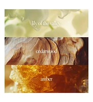 Noteworthy n,551 Eau De Parfum | Amber Sunset | Amber, Sandalwood Fragrance