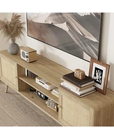 Tv stand with rattan door panels, media console with two doors and two compartments, entertainment center with legs
