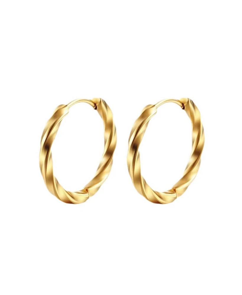Twisted Hoop Stainless Steel Earrings