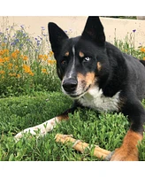 Dental Chew Stick: Beef Collagen Wrapped w/ Fish