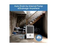 250-Pint 1-Speed Dehumidifier Energy Star (For Rooms 3001+ sq ft)